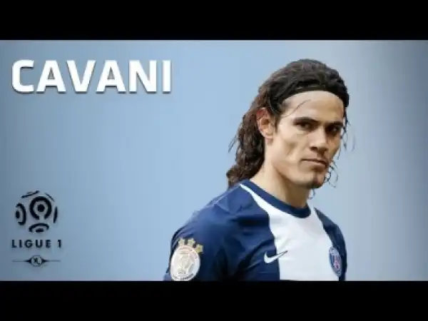 Video: Edinson Cavani - All 16 Goals - 2013-2014
